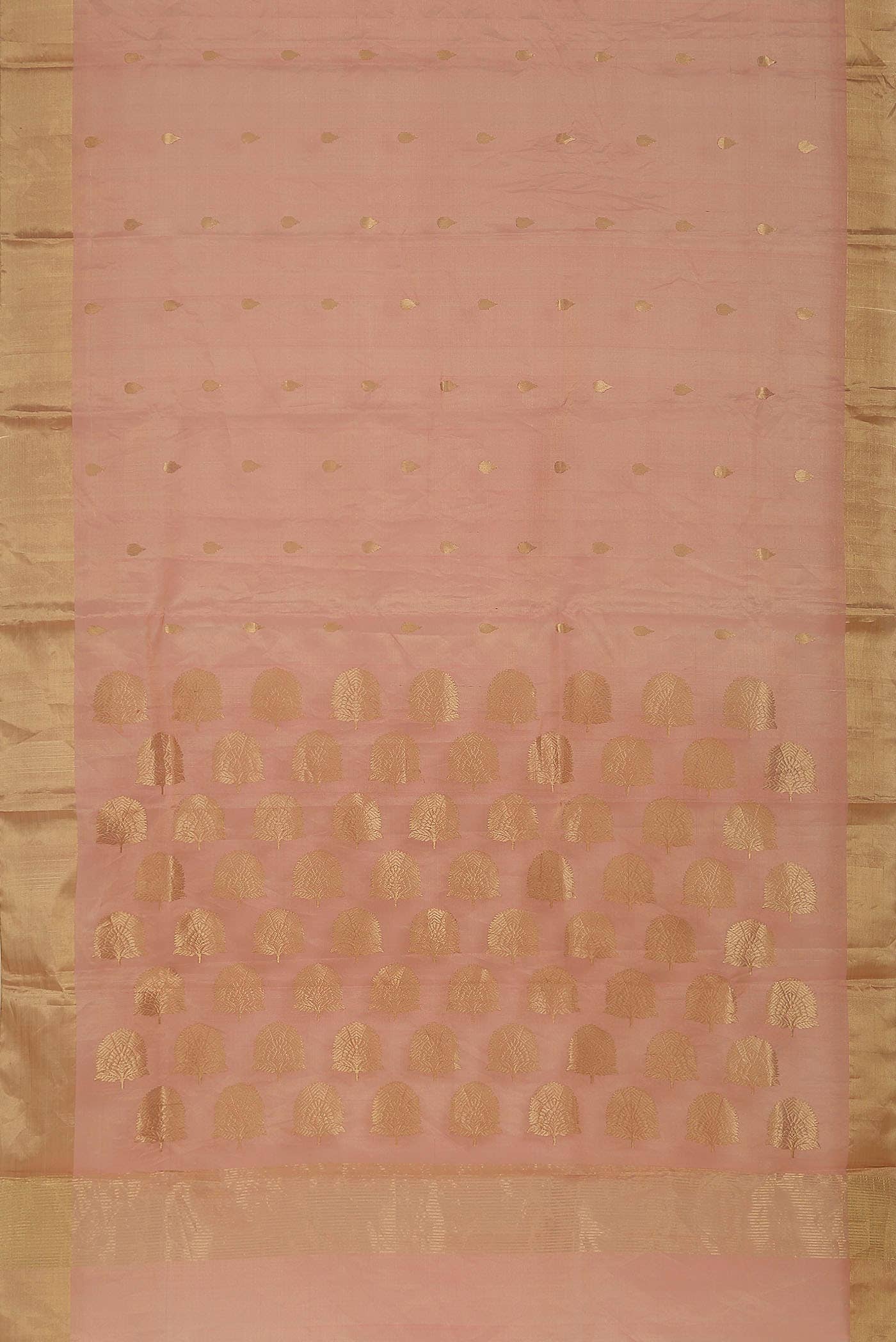 Coral Chanderi Tissue Silk Cotton Saree