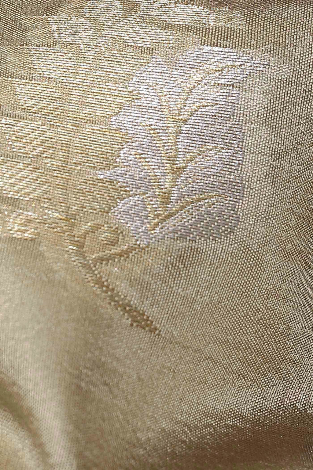 Beige Banarasi Raw Silk Saree