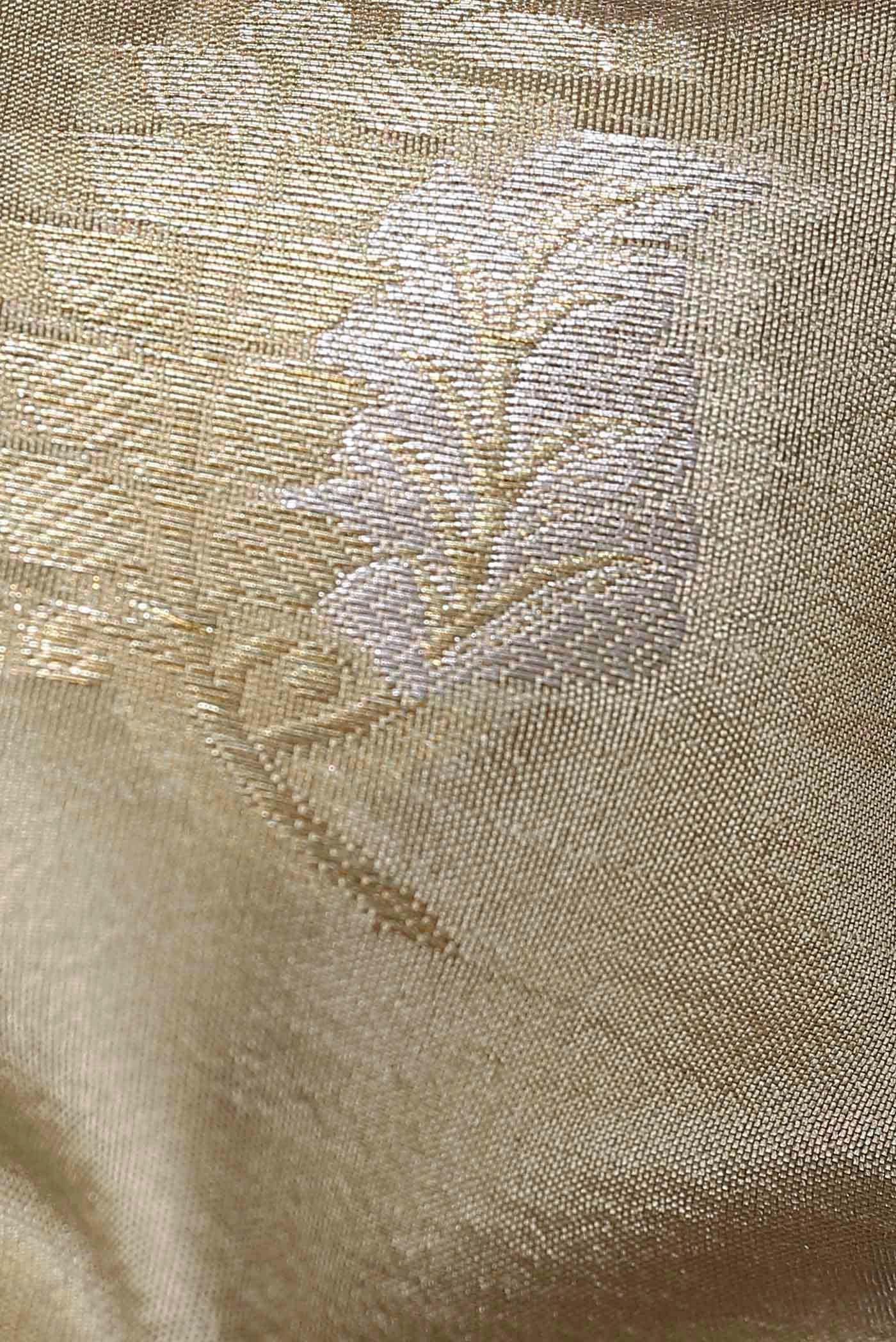 Beige Banarasi Raw Silk Saree