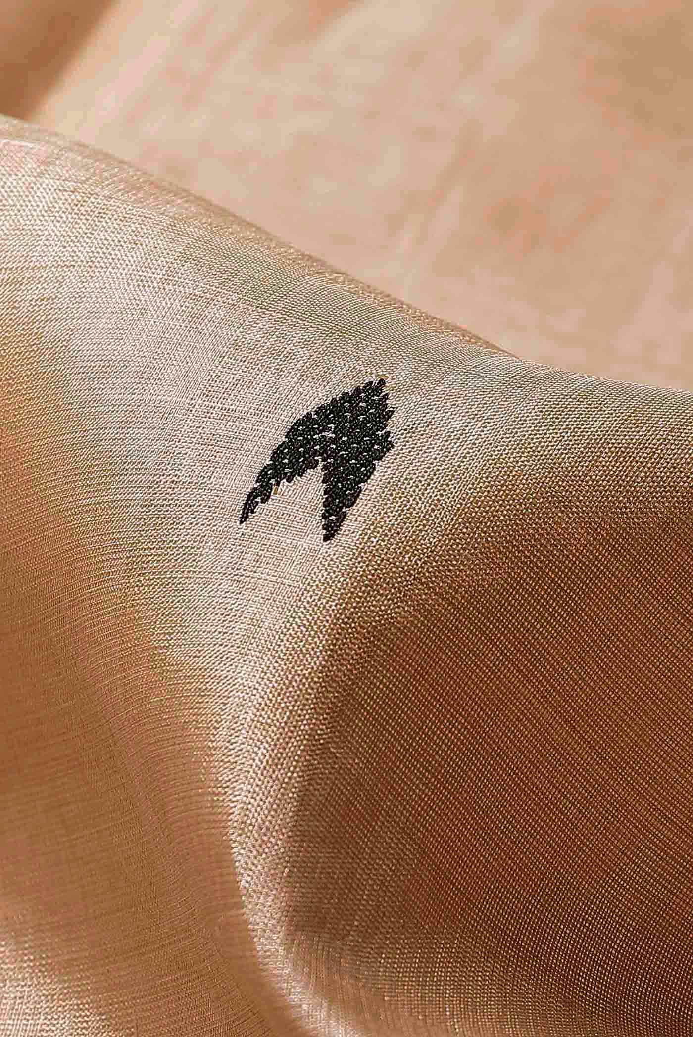 Beige Assam Silk Saree