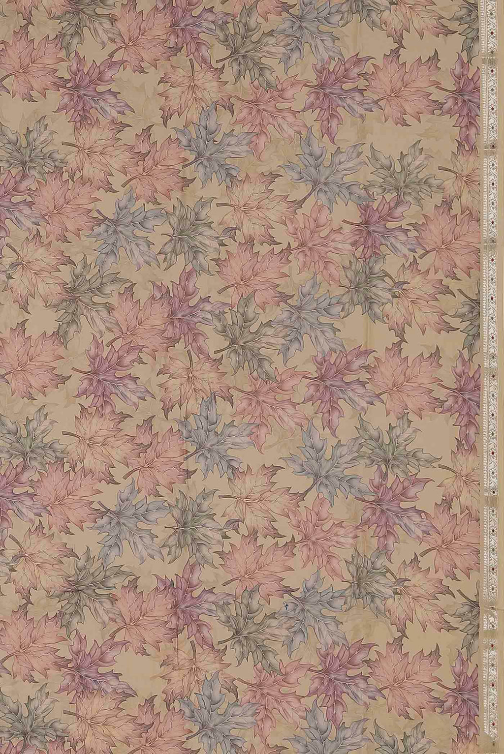 Beige Bhagalpuri Tussar Silk Saree