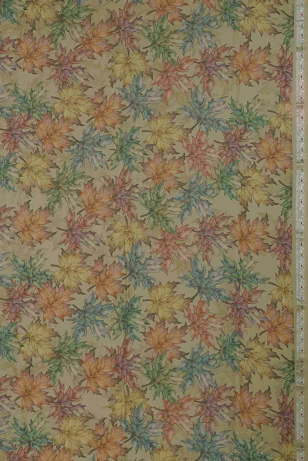 Beige Bhagalpuri Tussar Silk Saree