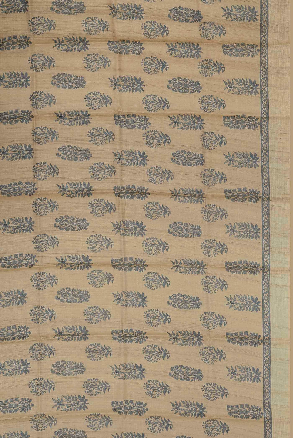Beige Bhagalpuri Tussar Silk Saree