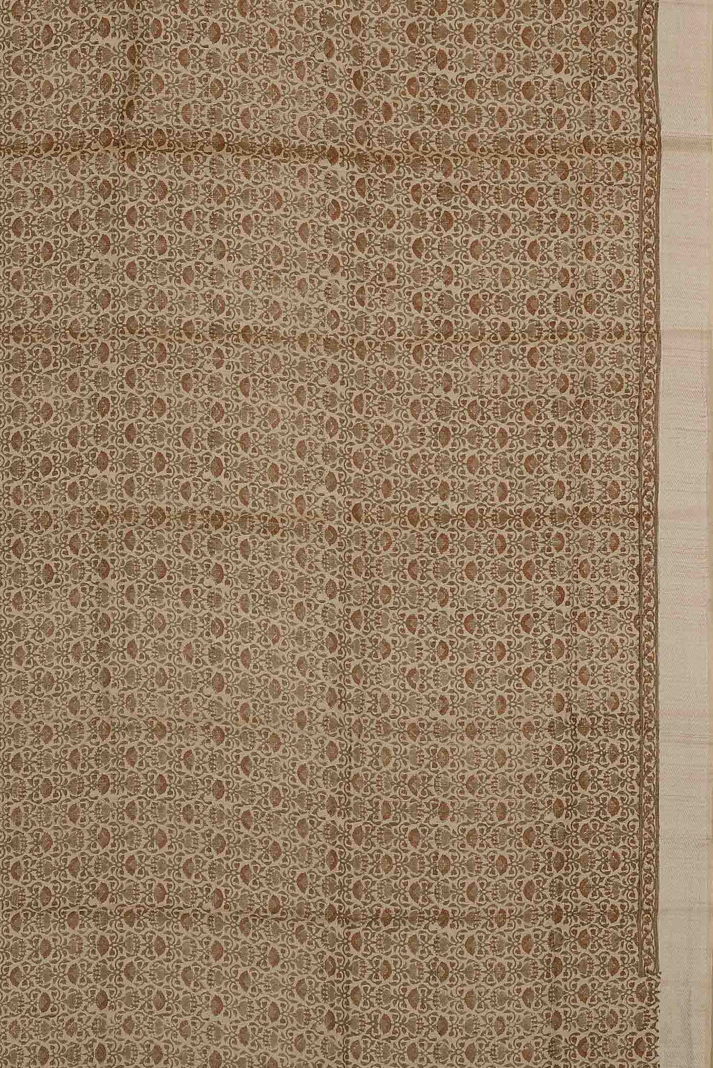 Beige Bhagalpuri Tussar Silk Saree
