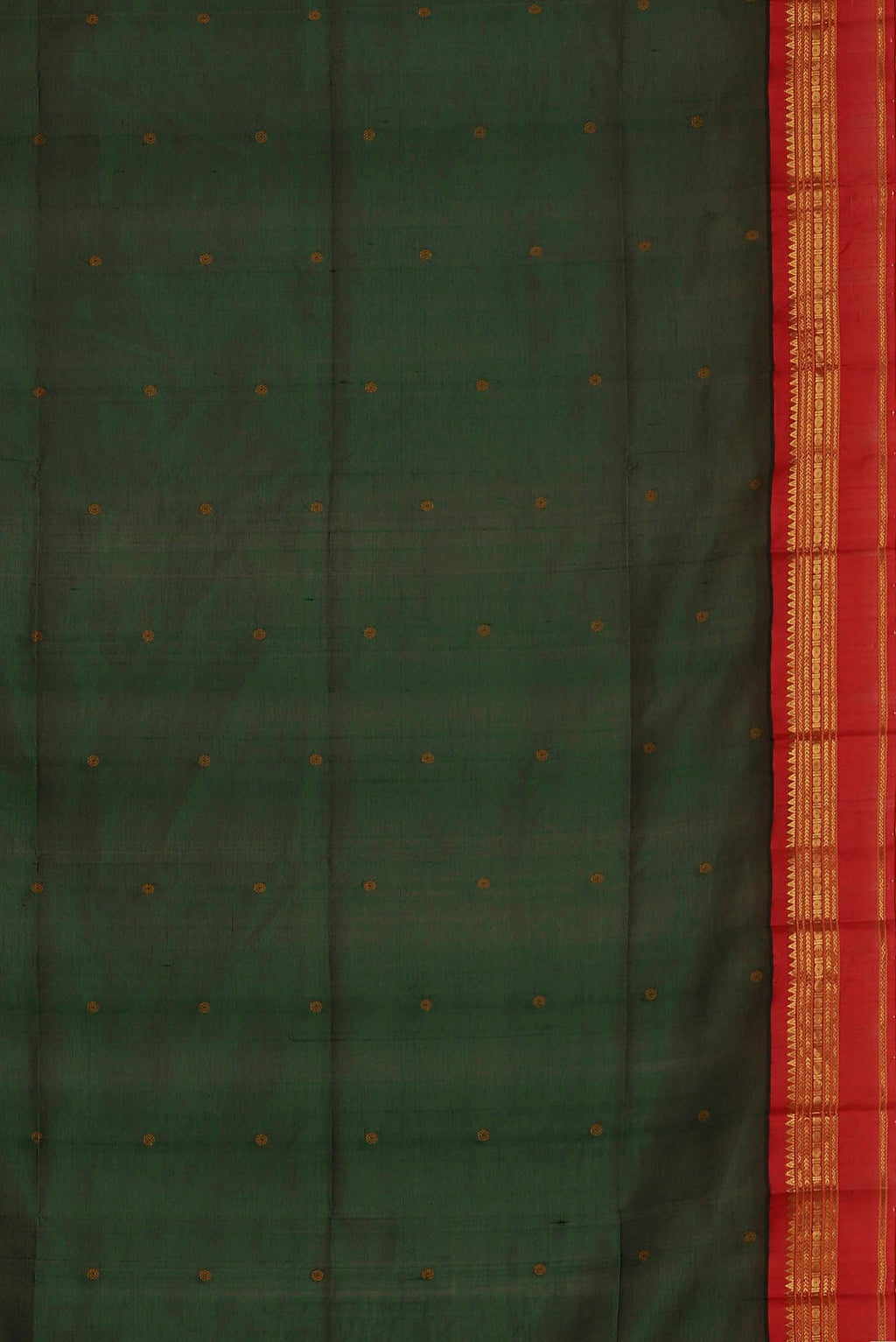 Green Silk Cotton Saree