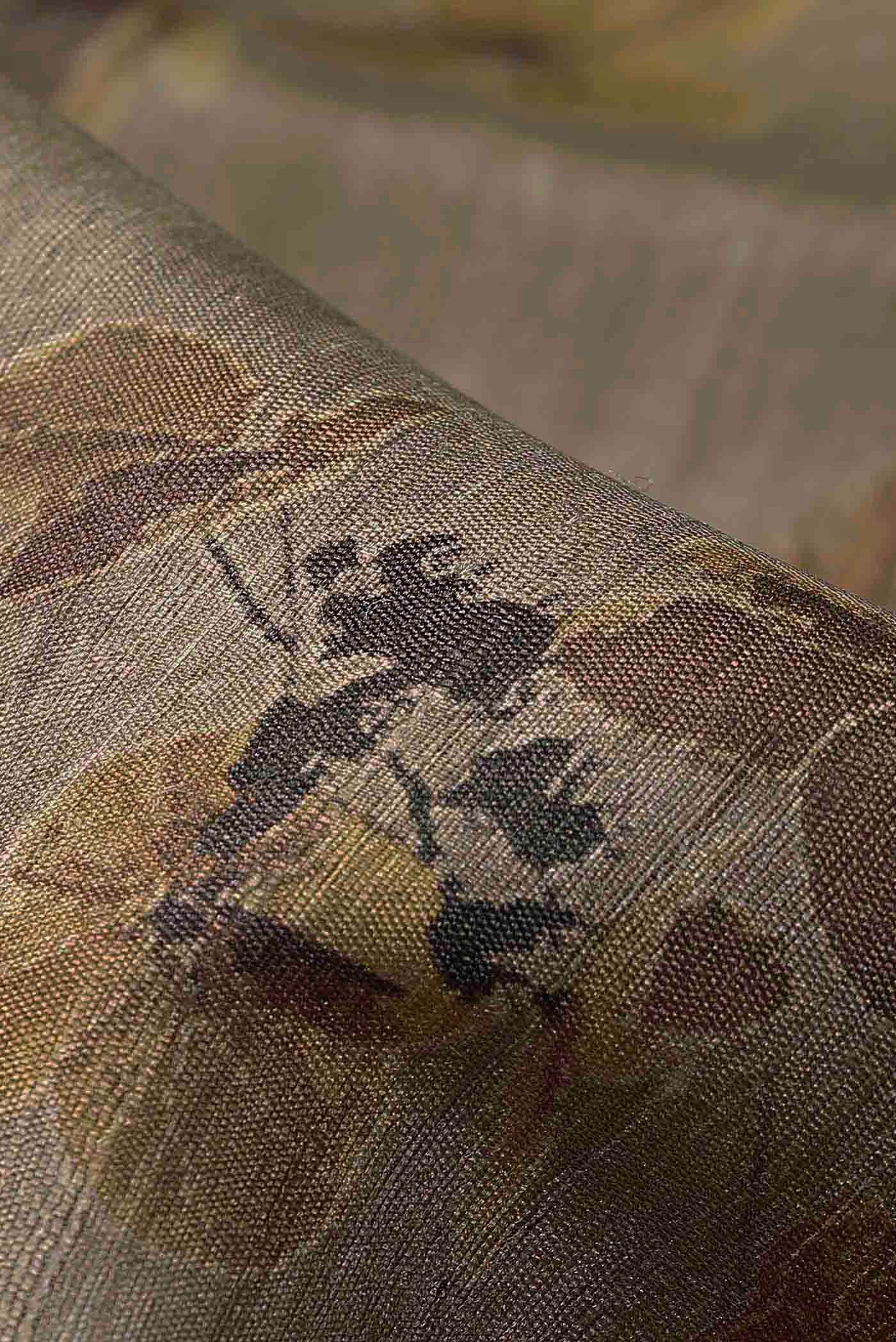 Beige Bhagalpuri Tussar Silk Saree