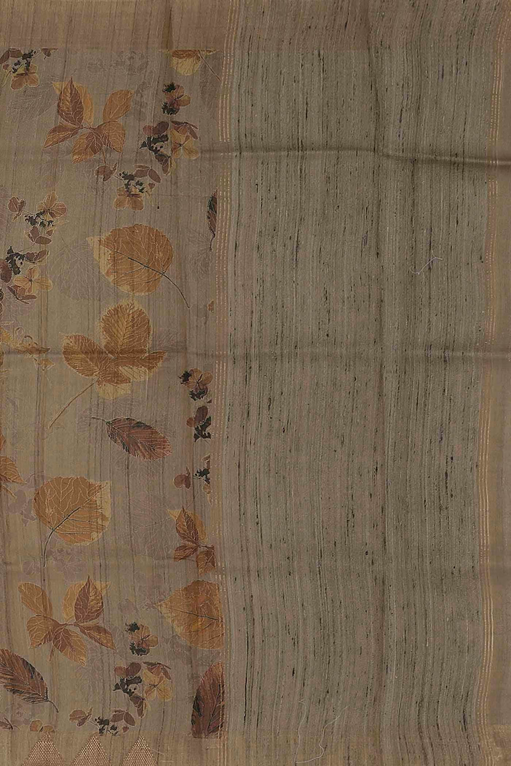 Beige Bhagalpuri Tussar Silk Saree