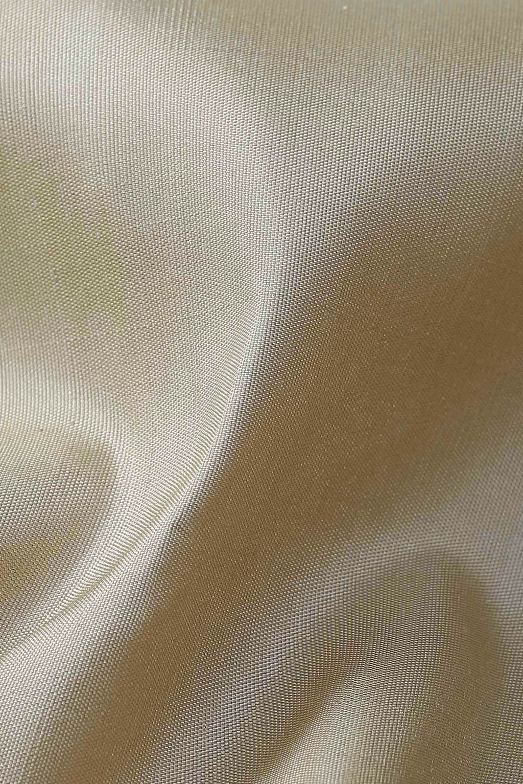 Beige Kanchipuram Silk Saree