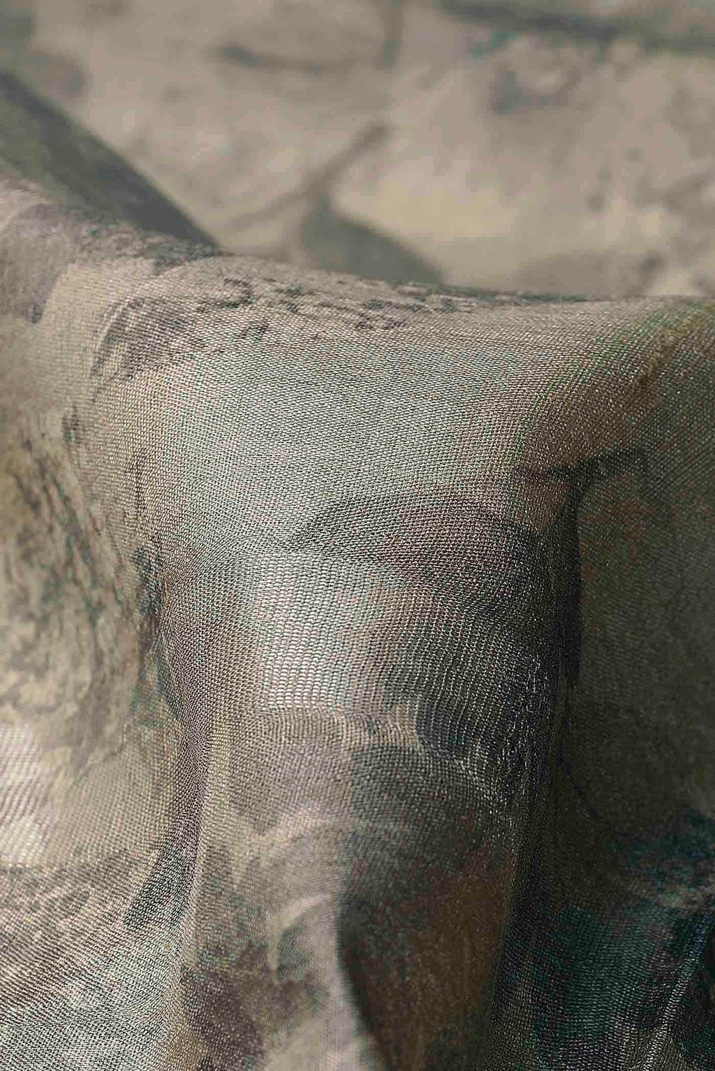 Beige Bhagalpuri Tussar Silk Saree