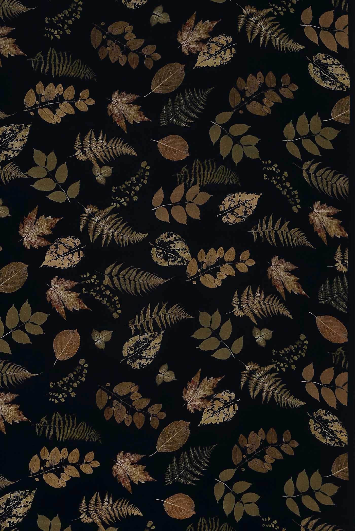 Black Mysore Crepe Saree