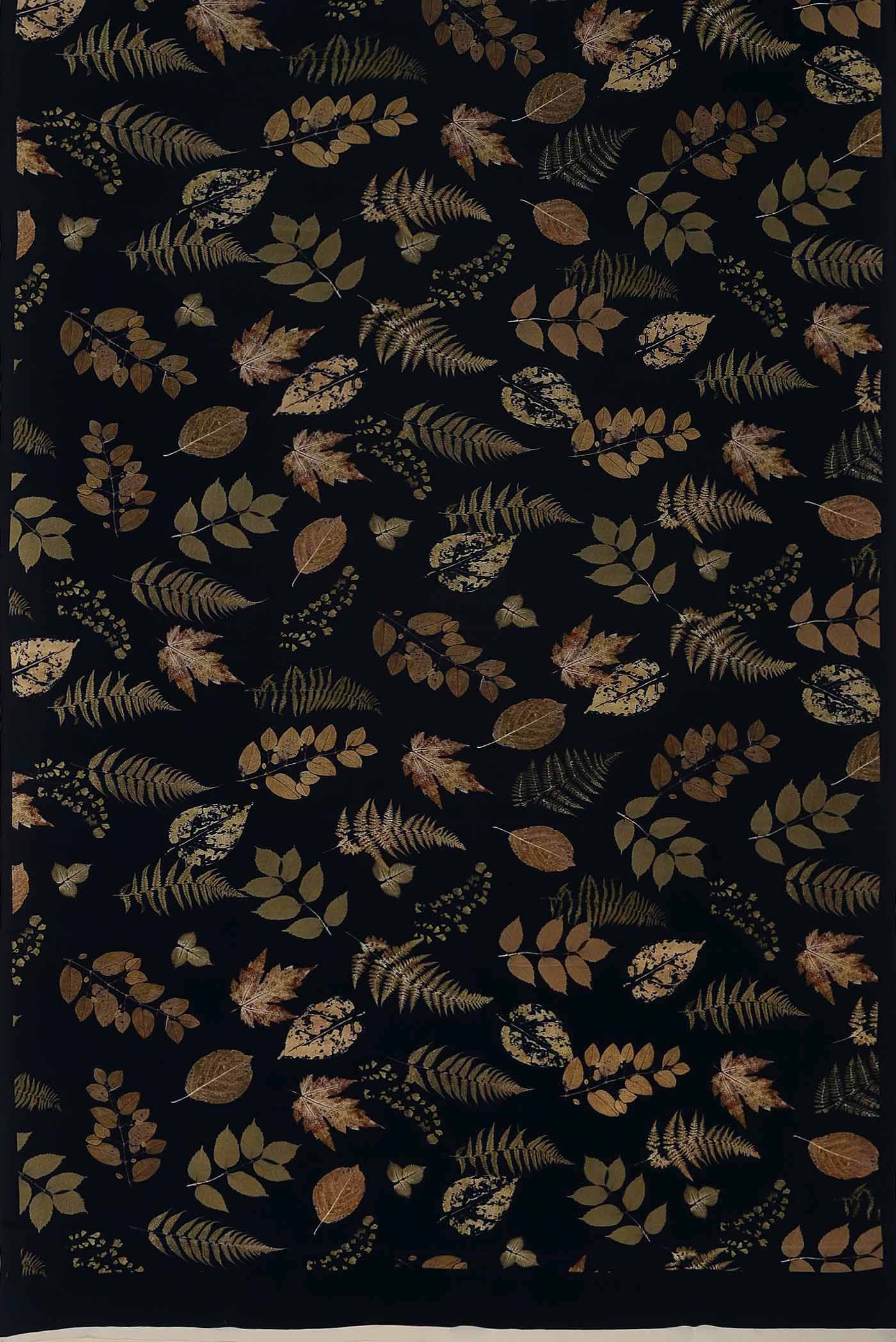 Black Mysore Crepe Saree