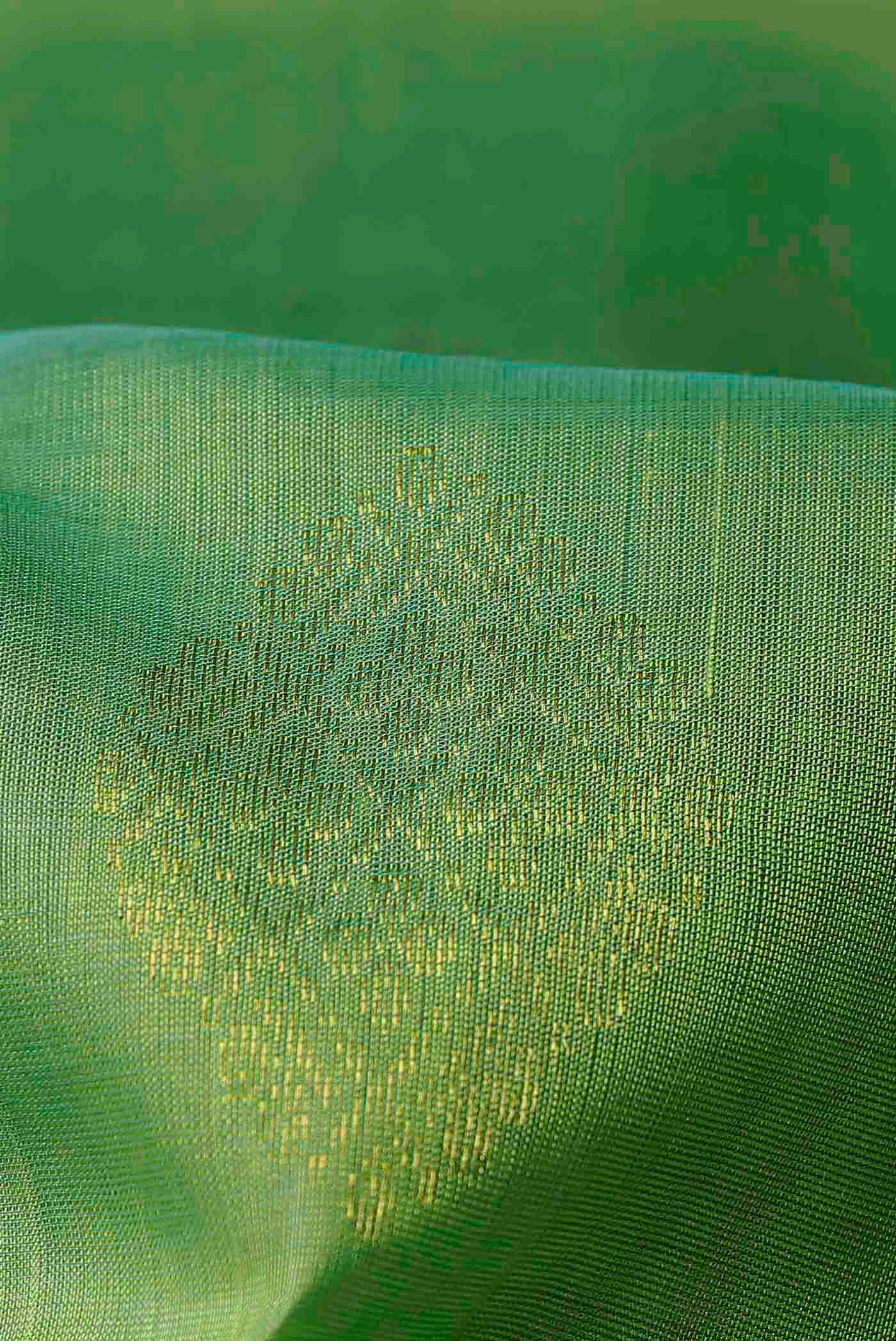 Green Silk Cotton Saree