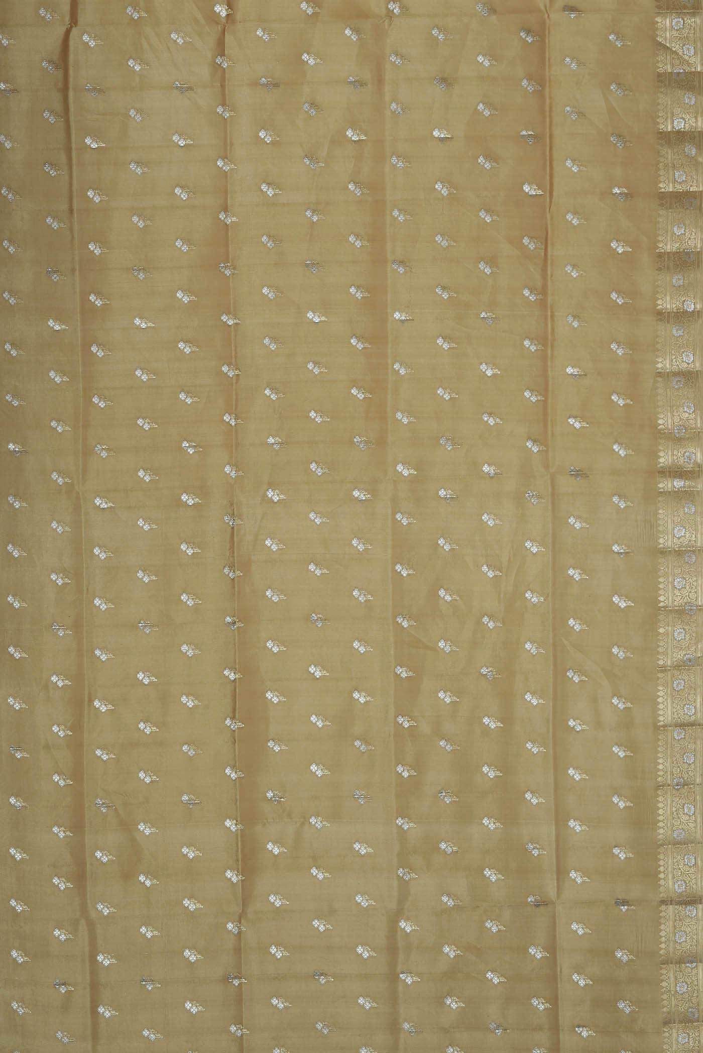 Beige Banarasi Raw Silk Saree