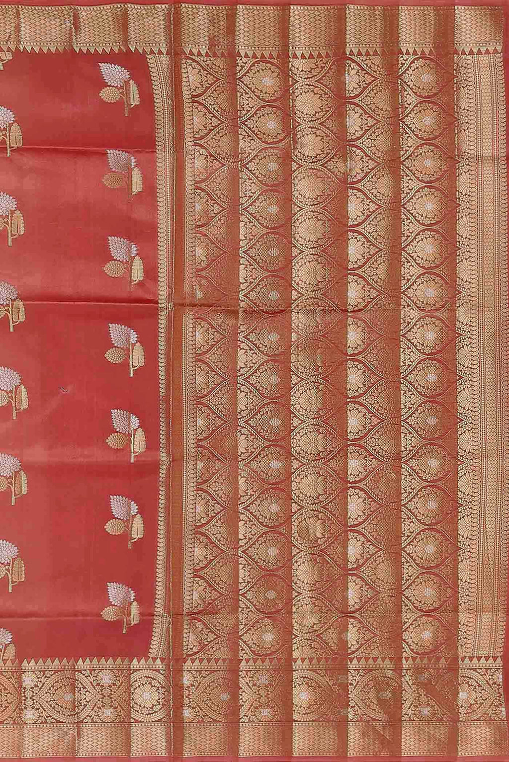 Coral Banarasi Raw Silk Saree