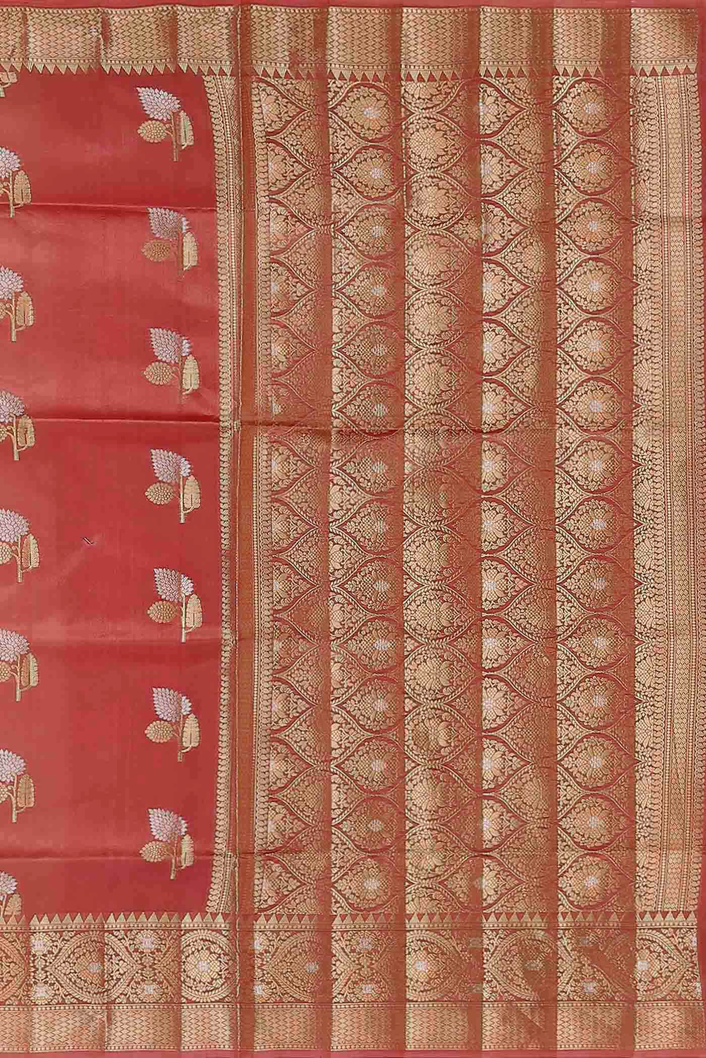 Coral Banarasi Raw Silk Saree
