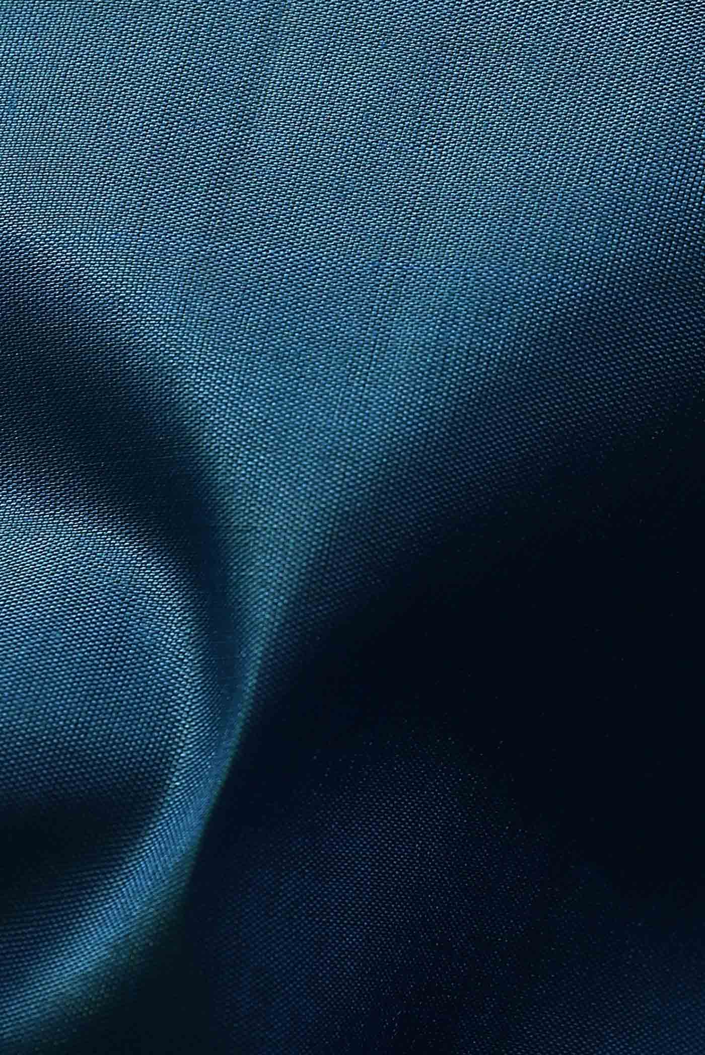 Blue Kanchipuram Silk Saree