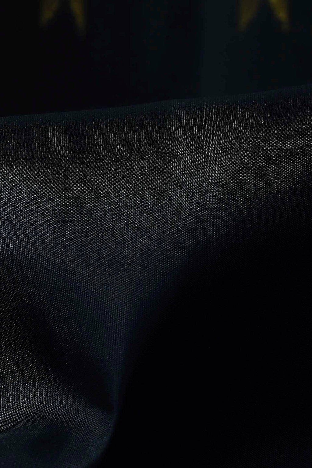 Black Kanchipuram Silk Saree