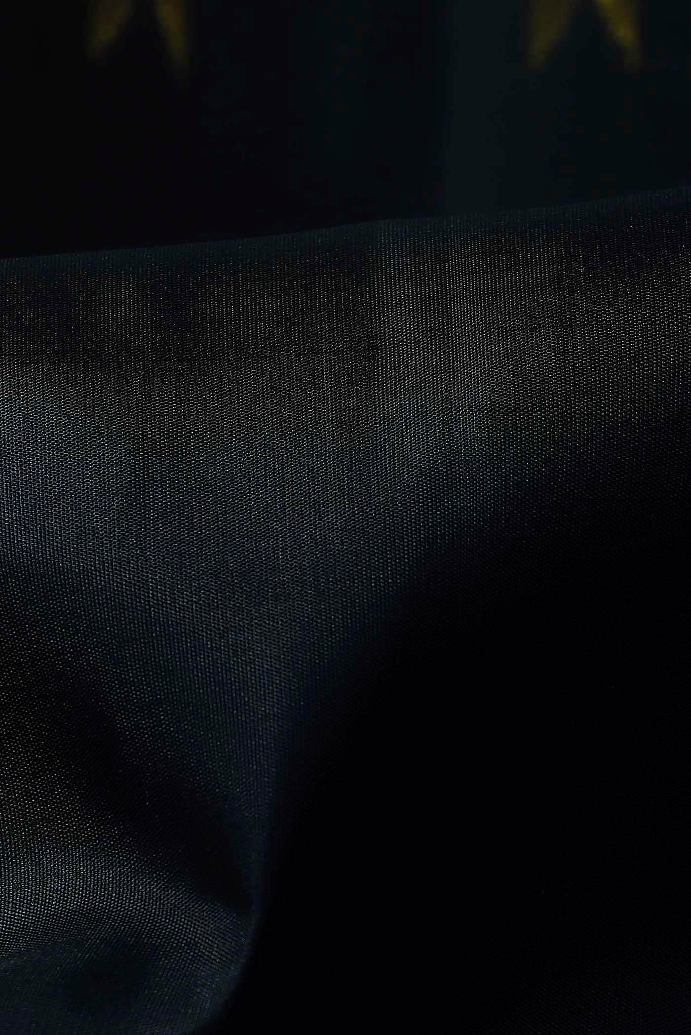 Black Kanchipuram Silk Saree