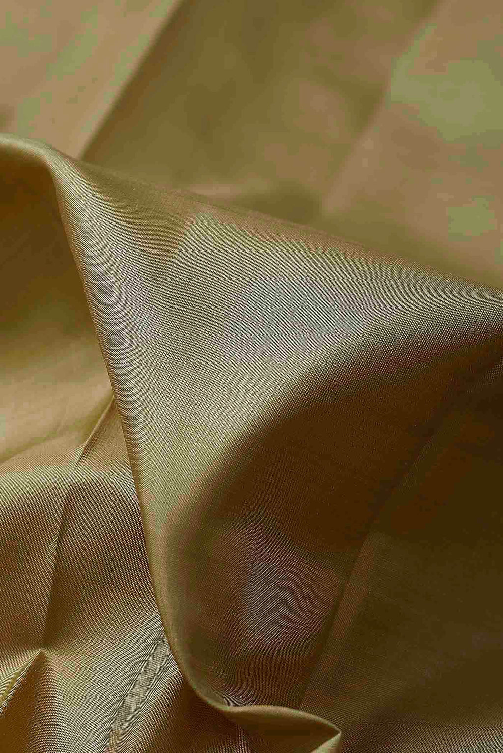 Beige Kanchipuram Silk Saree