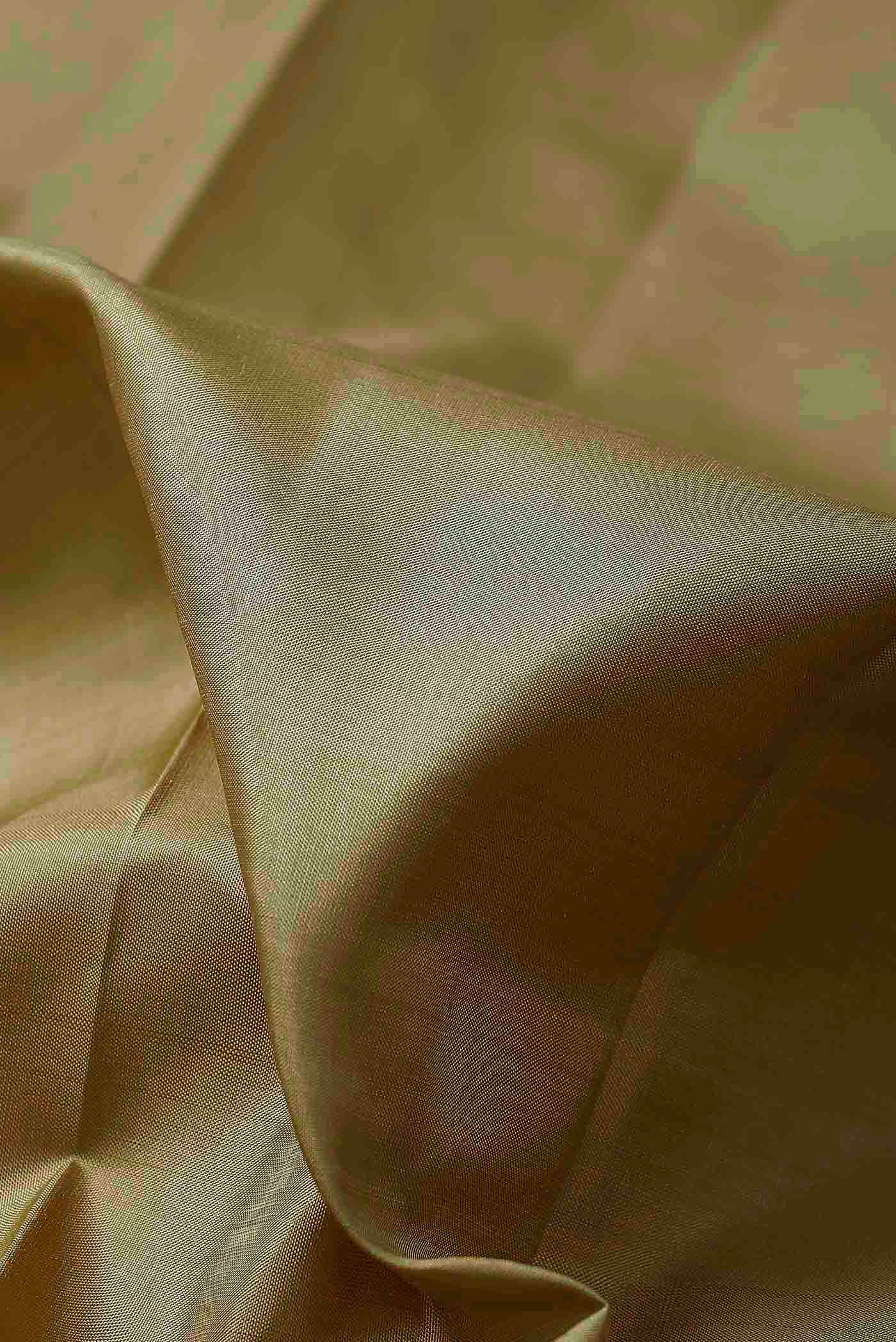 Beige Kanchipuram Silk Saree