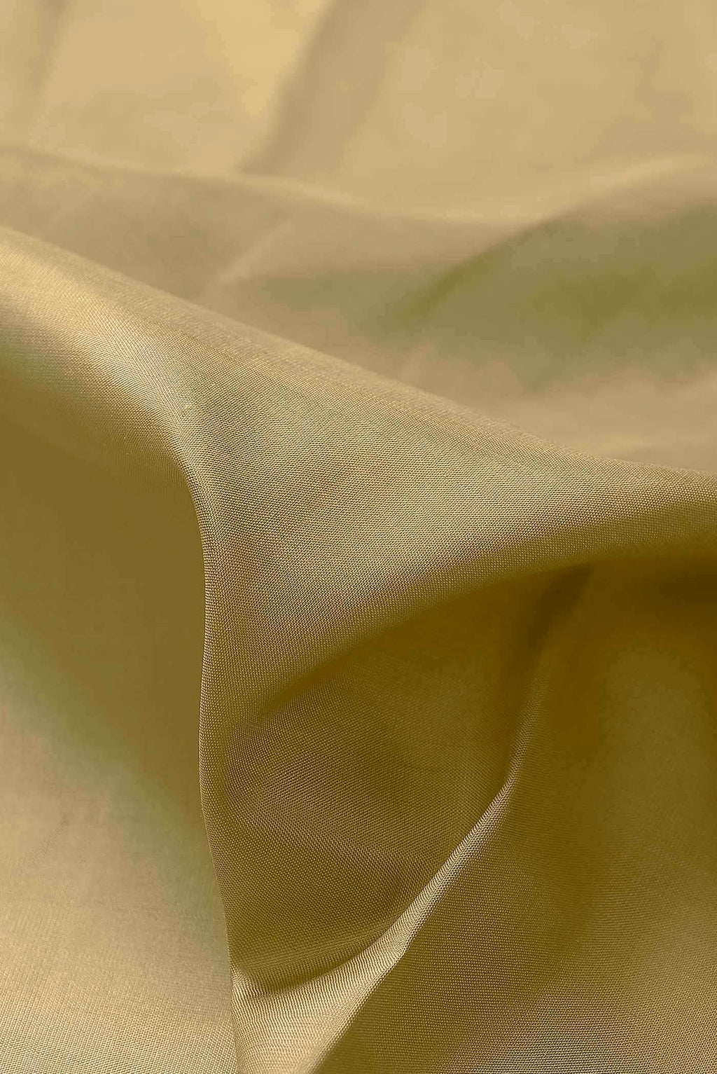 Beige Kanchipuram Silk Saree