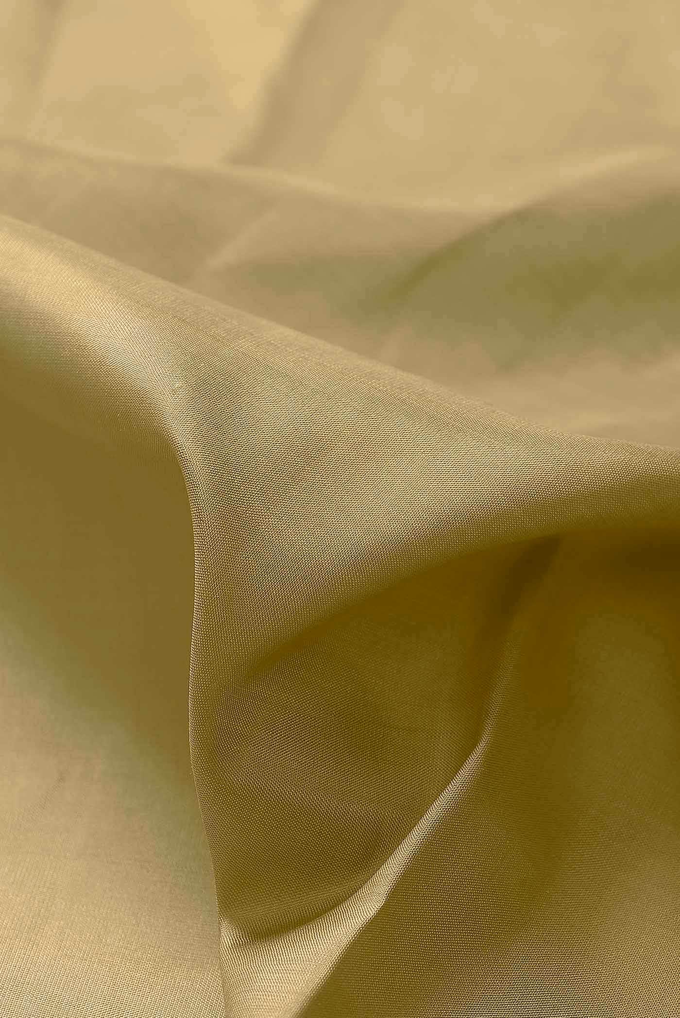 Beige Kanchipuram Silk Saree