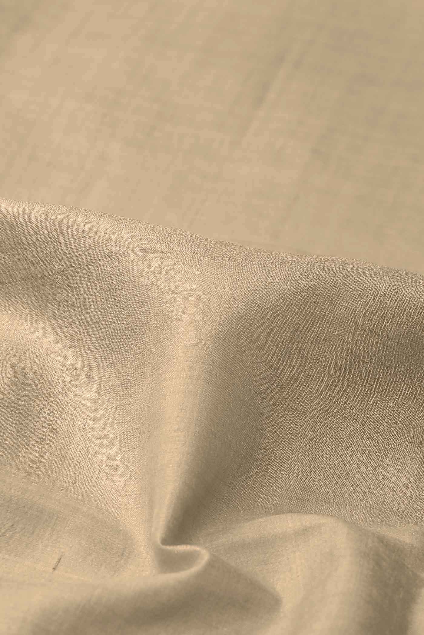 Beige Bhagalpuri Tussar Silk Saree