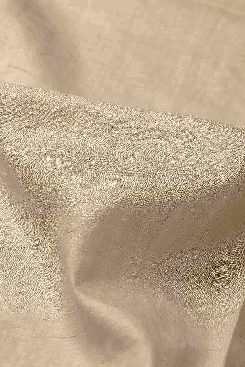 Beige Tussar Silk Saree