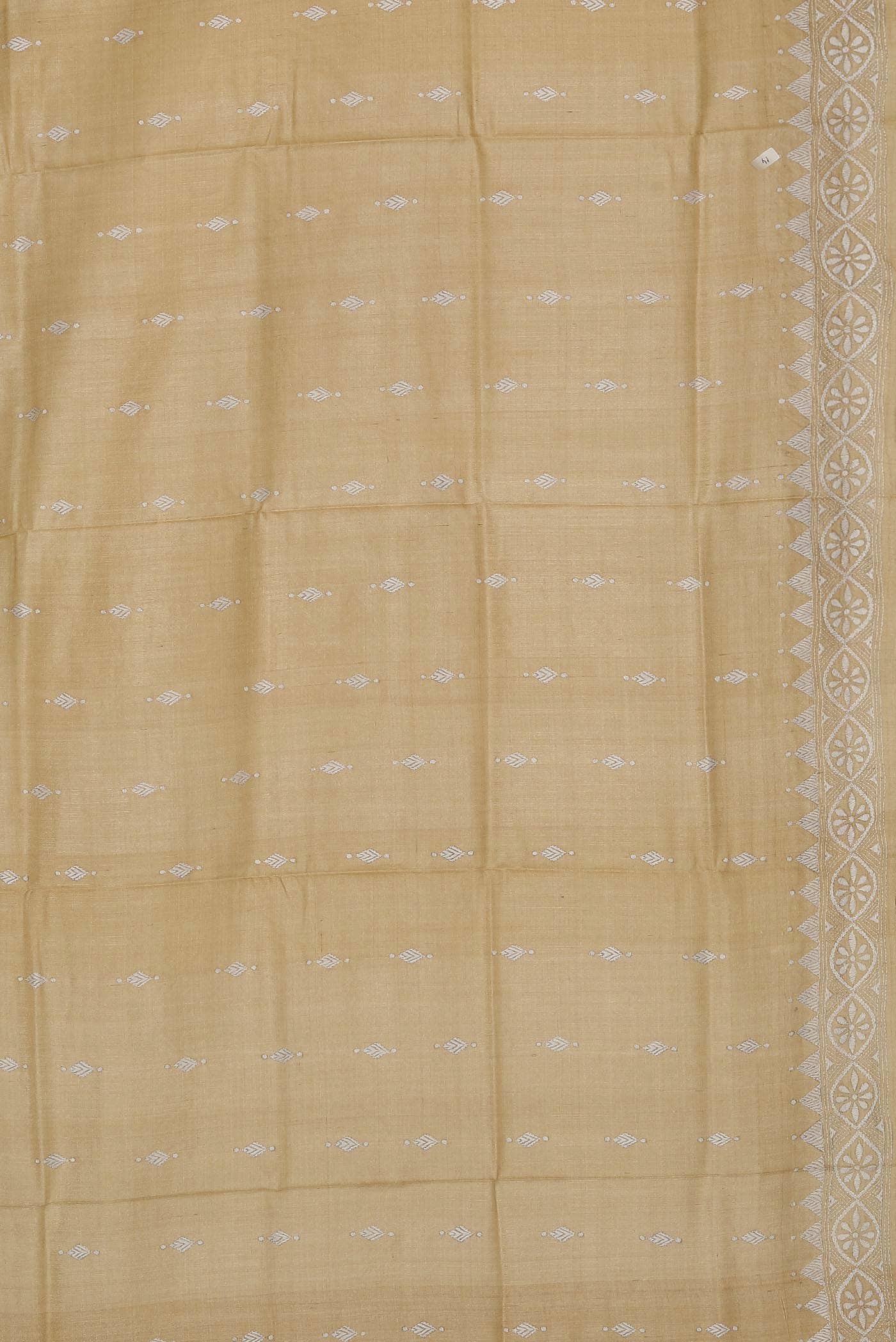 Beige Bhagalpuri Tussar Silk Saree