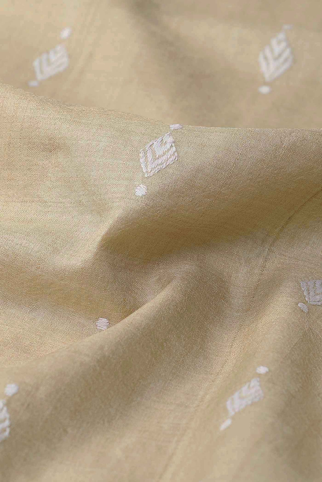 Beige Bhagalpuri Tussar Silk Saree