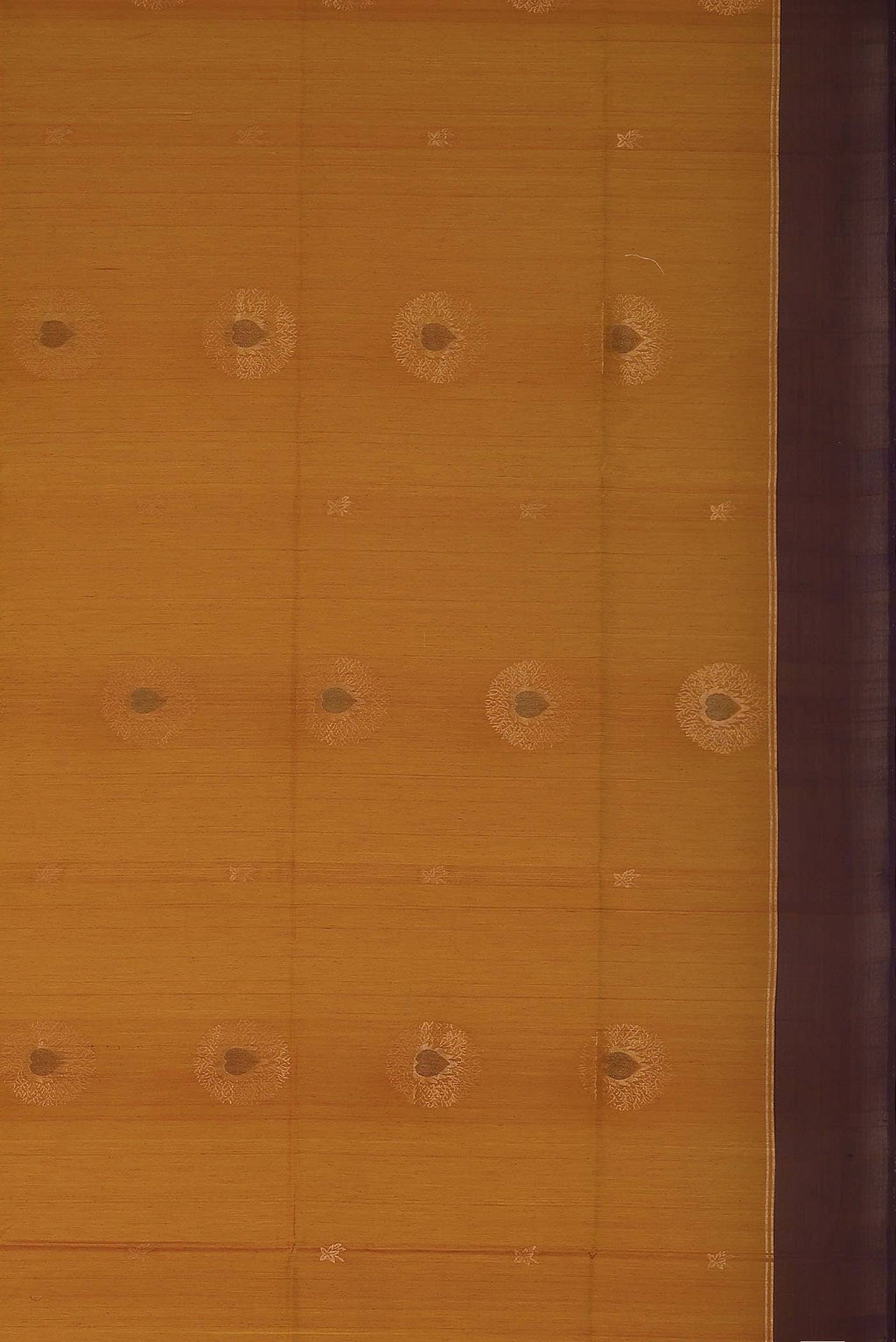Mustard Silk Cotton Saree