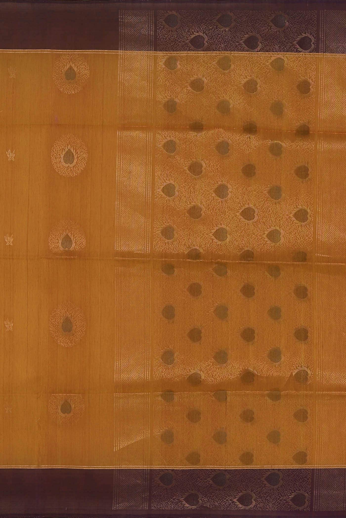 Mustard Silk Cotton Saree