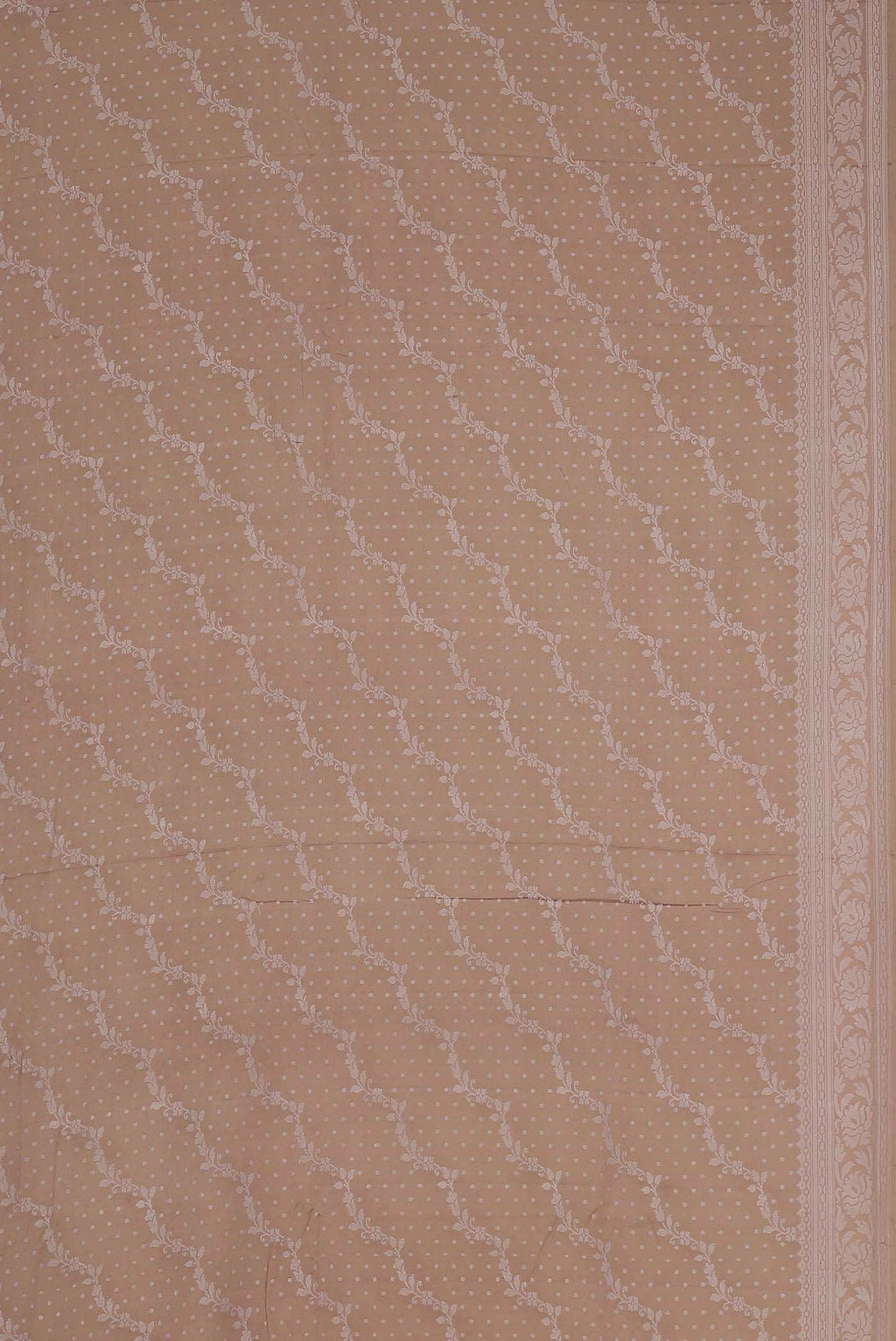 Beige Banarasi Georgette Saree