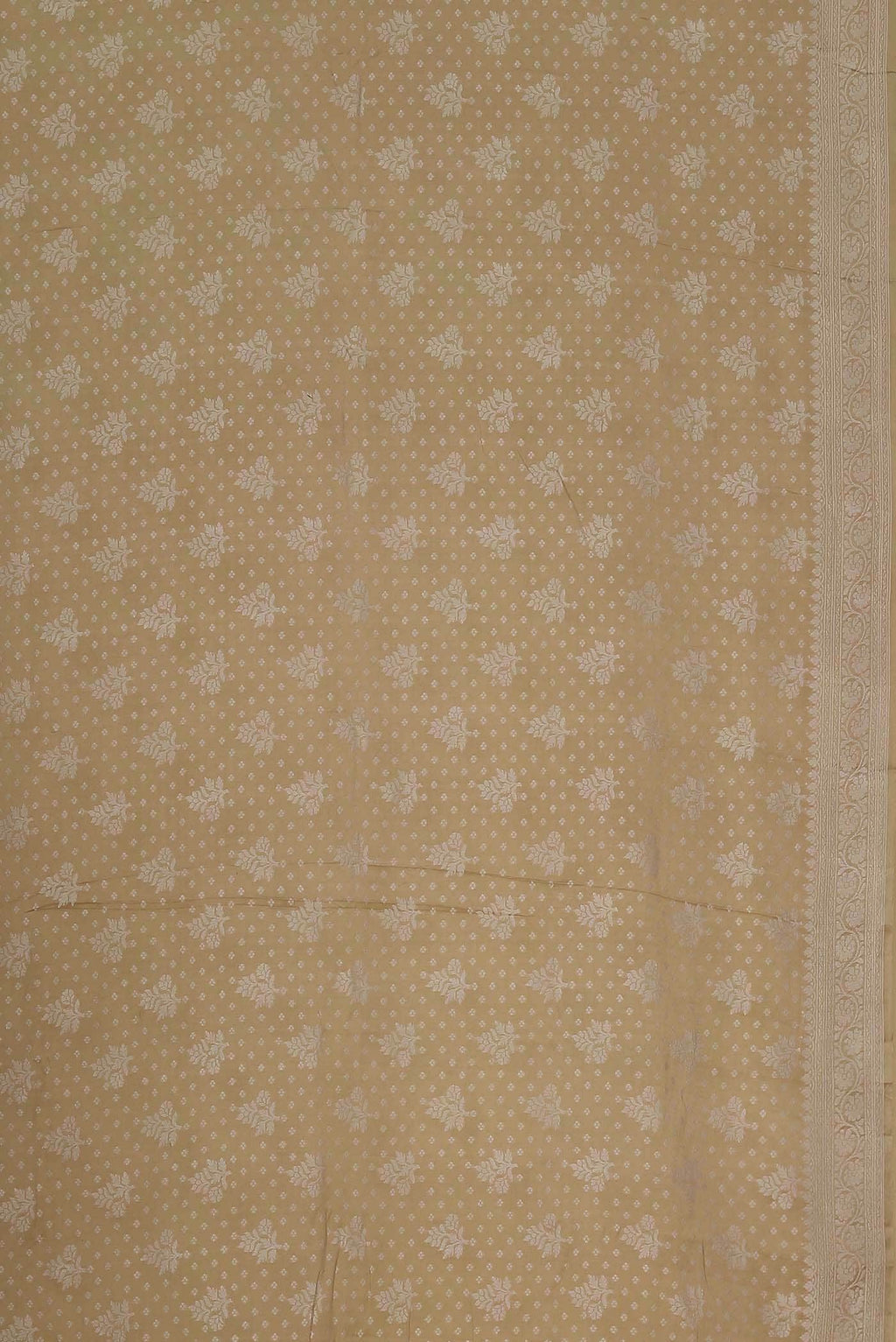 Beige Banarasi Georgette Saree