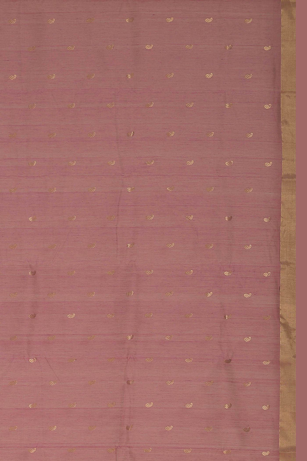 Coral Chanderi Silk Cotton Saree