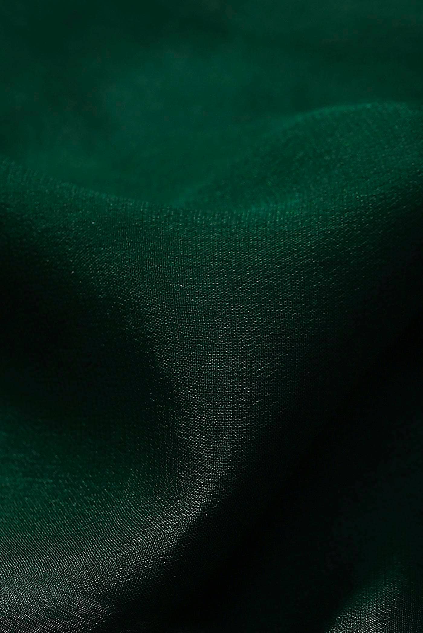Green Banarasi Georgette Saree