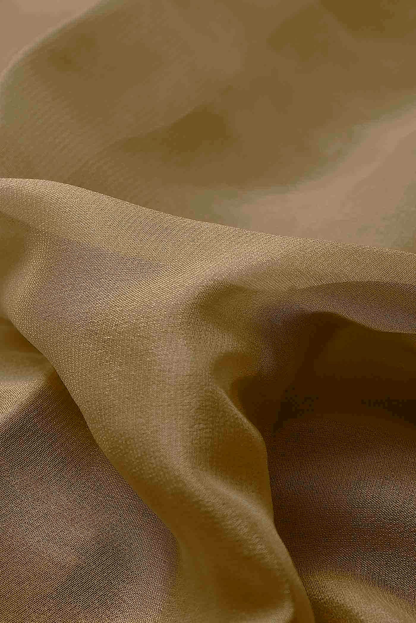Beige Banarasi Georgette Saree