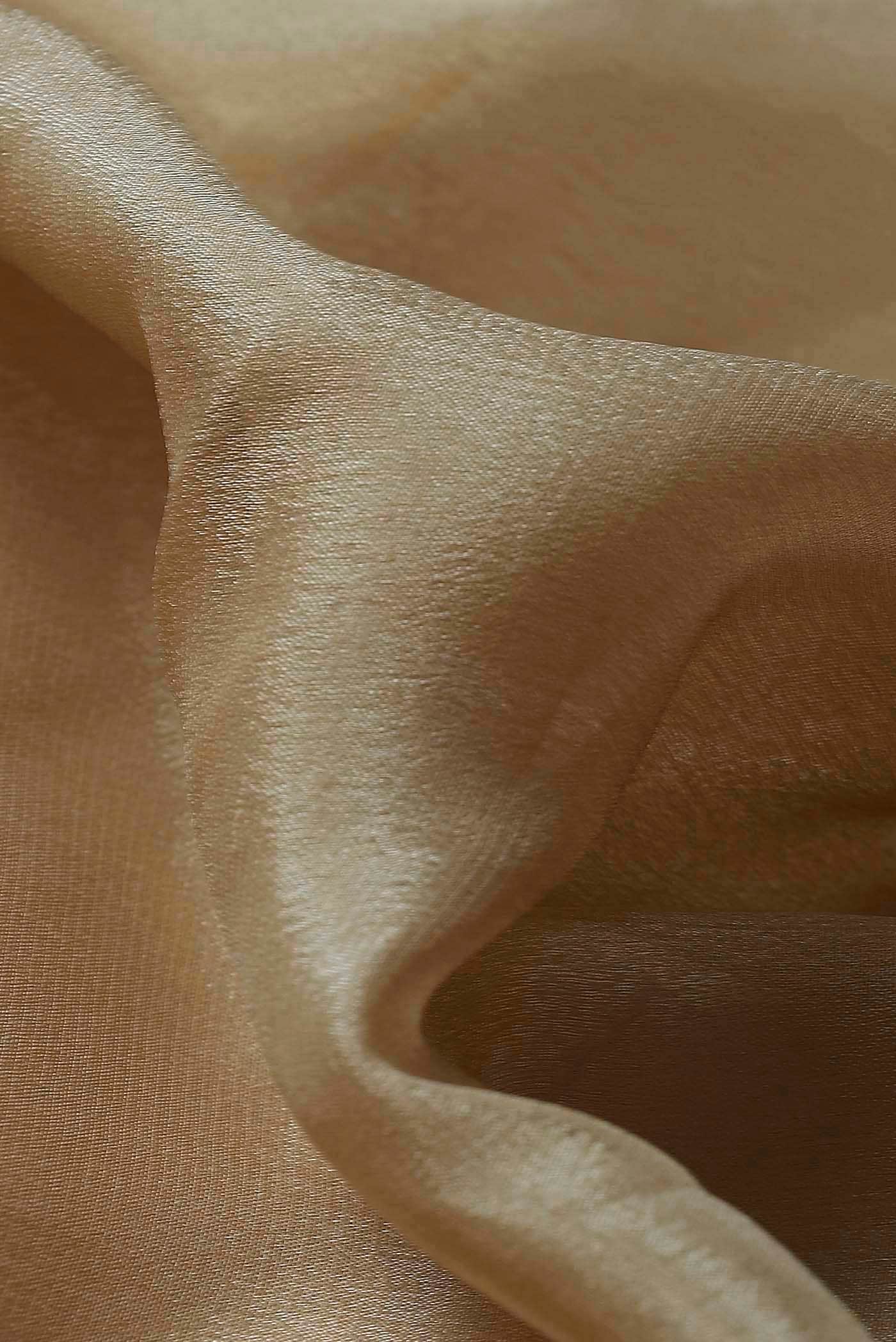 Beige Banarasi Georgette Saree