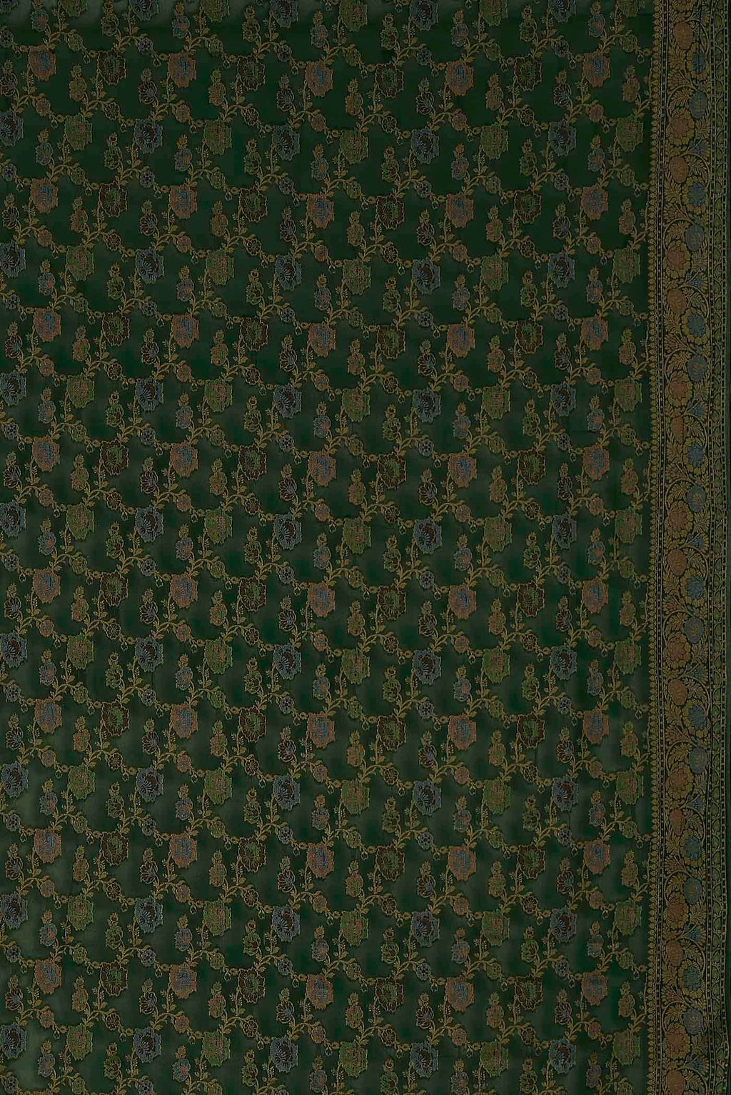 Green Banarasi Georgette Saree