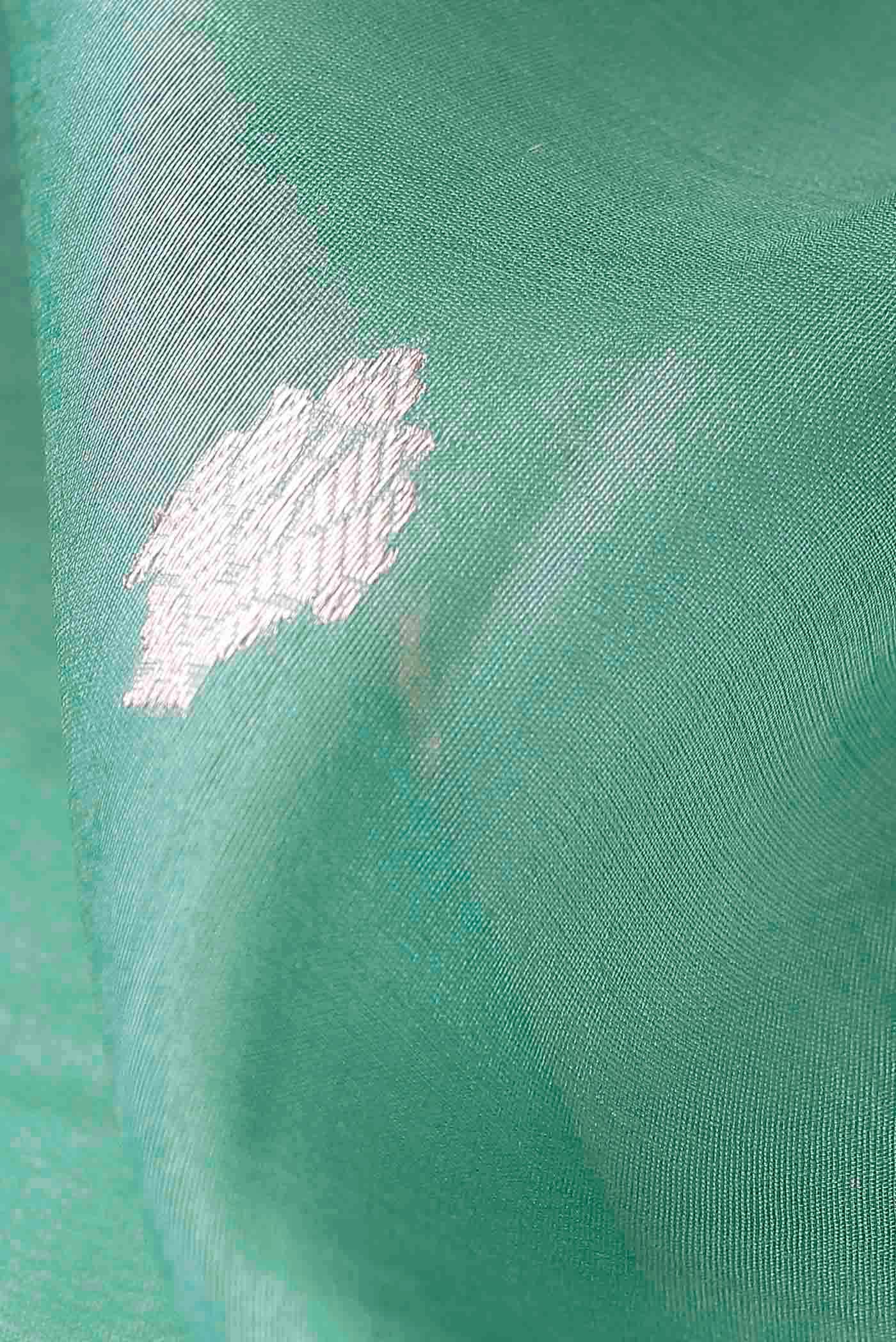 Green Organza Silk Saree