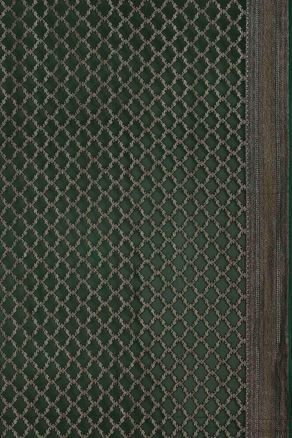 Green Banarasi Georgette Saree