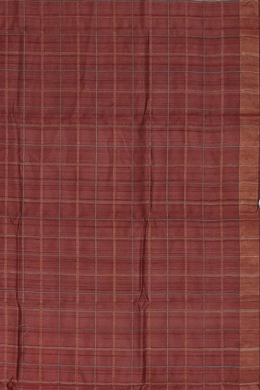 Brown Bhagalpuri Tussar Silk Saree