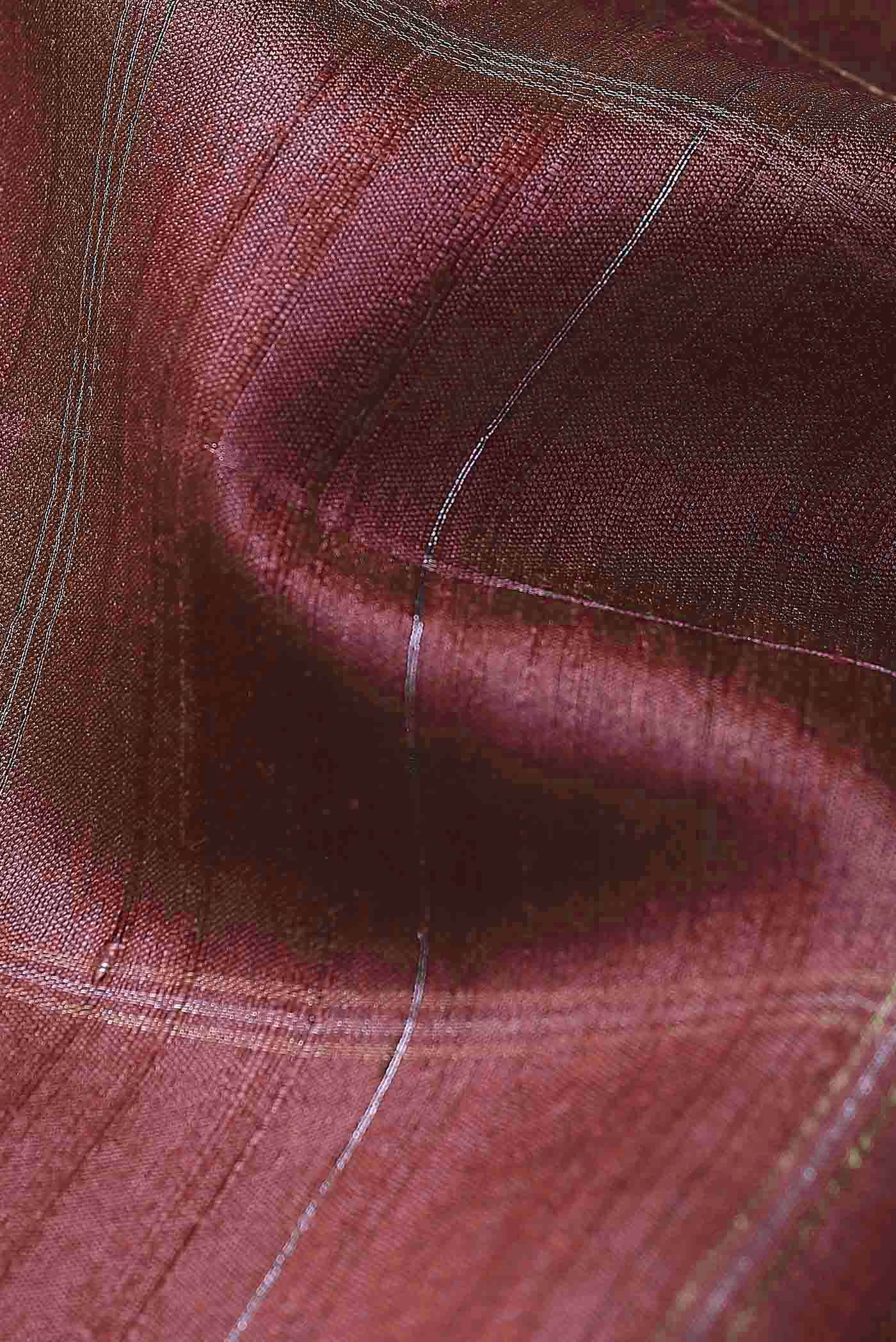 Brown Bhagalpuri Tussar Silk Saree