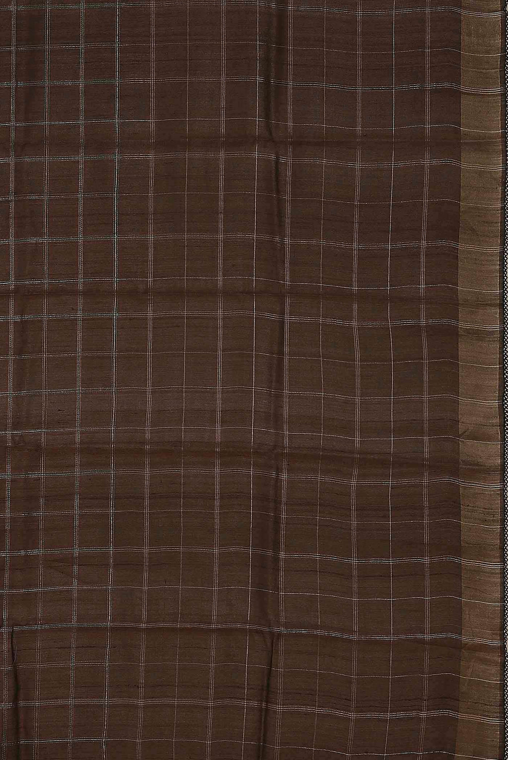 Brown Bhagalpuri Tussar Silk Saree