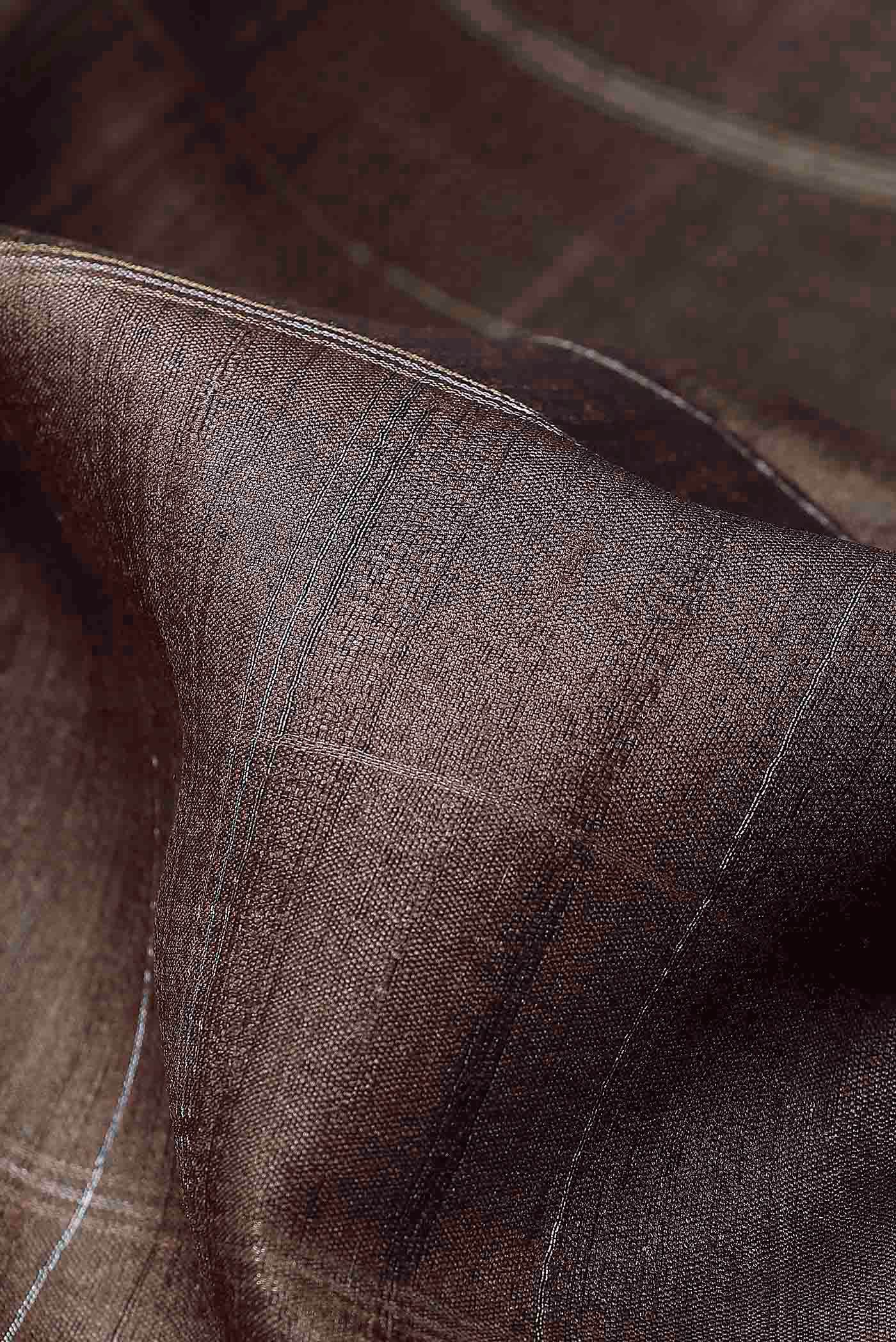 Brown Bhagalpuri Tussar Silk Saree