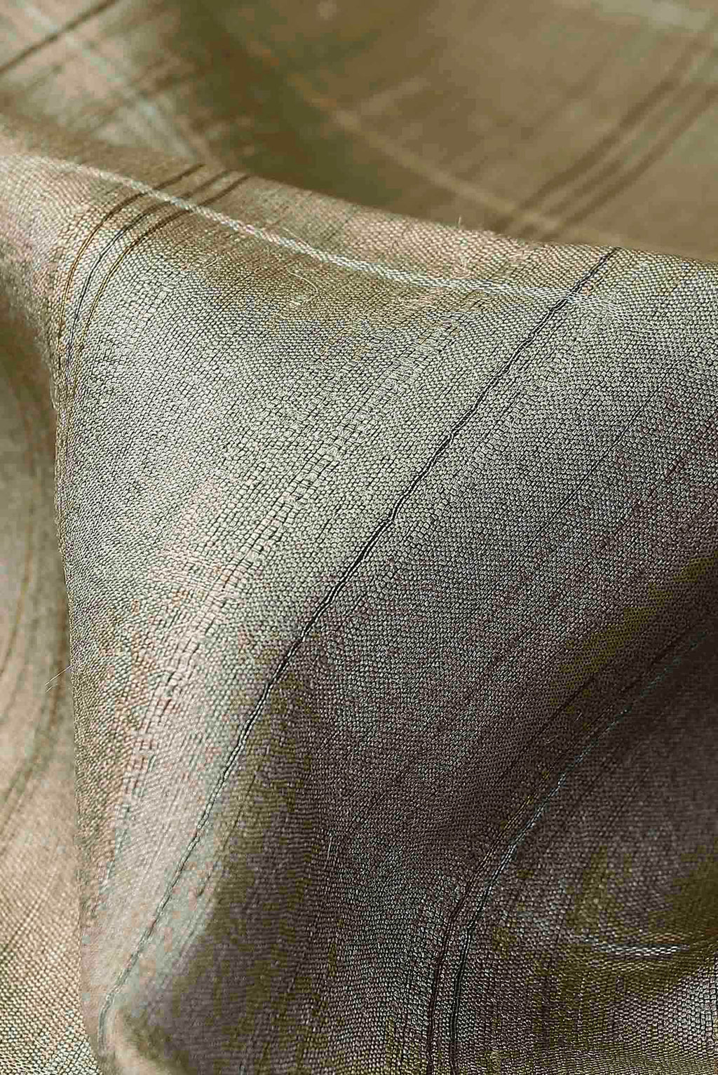 Beige Bhagalpuri Tussar Silk Saree