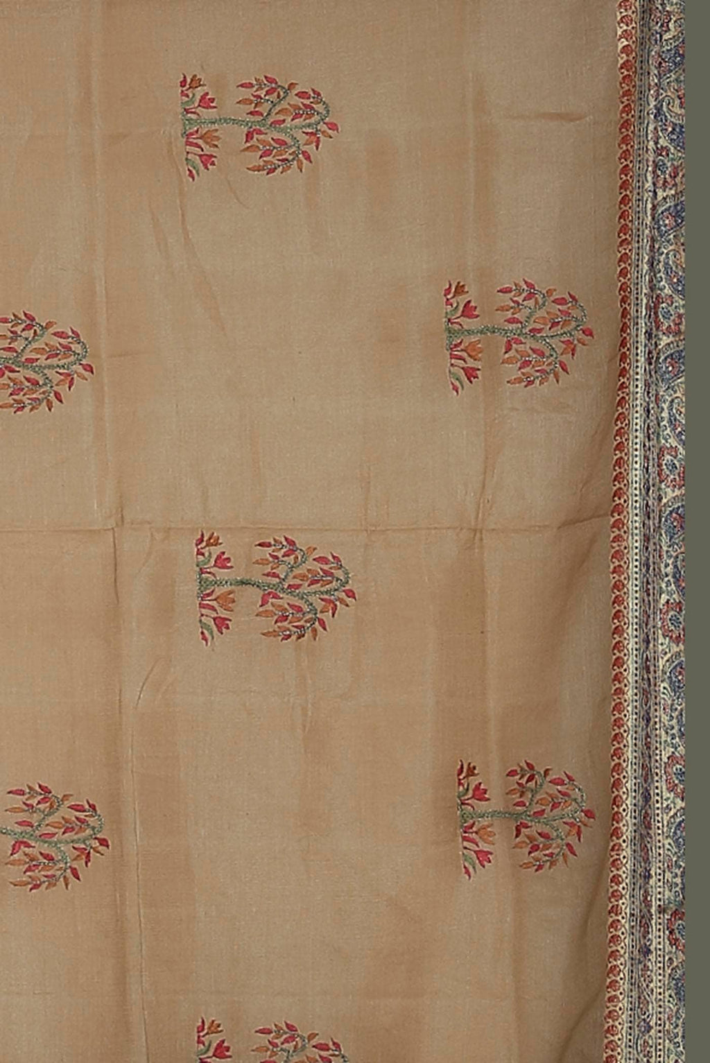 Beige Banarasi Tussar Silk Saree