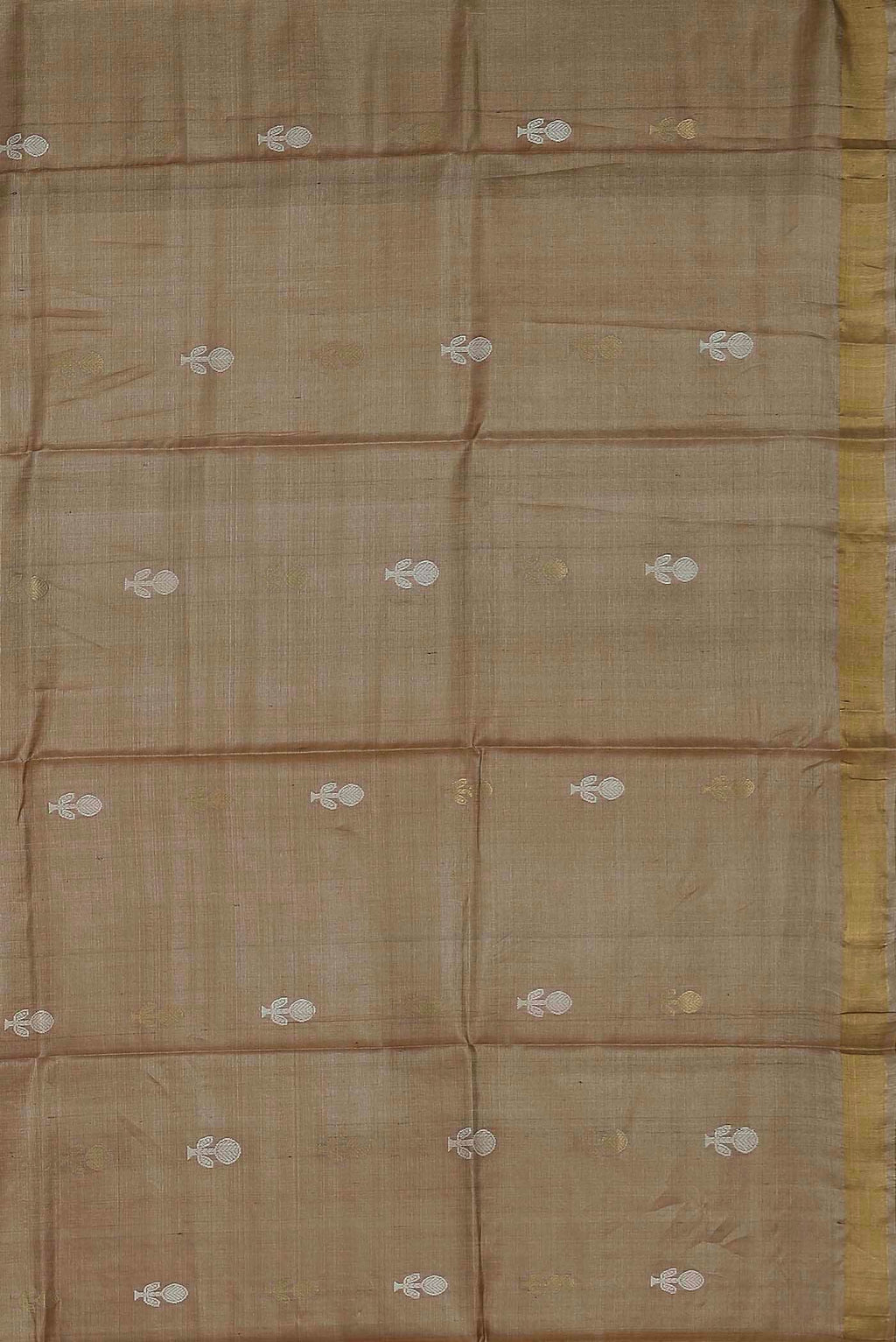 Beige Bhagalpuri Tussar Silk Saree