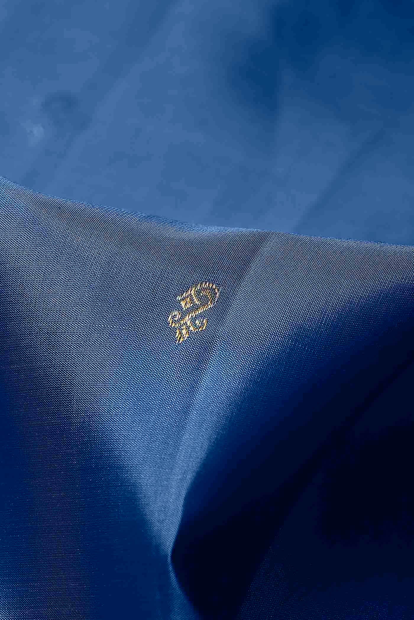 Blue Kanchipuram Silk Saree