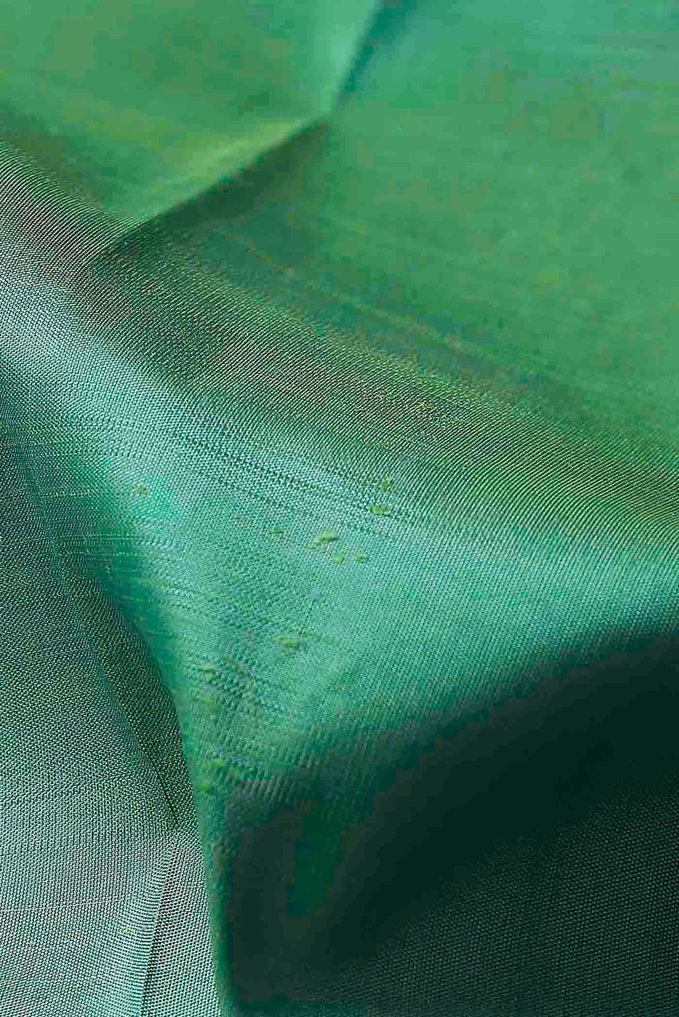 Green Kanchipuram Silk Saree